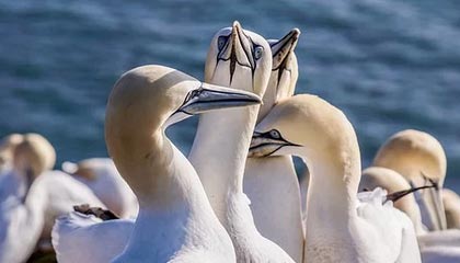 桂平伴游，定制QQ：3494206190微信：act1322